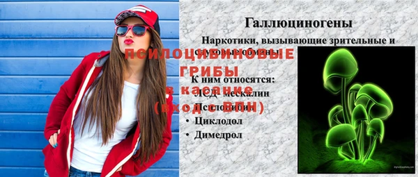 мяу мяу мука Гусиноозёрск