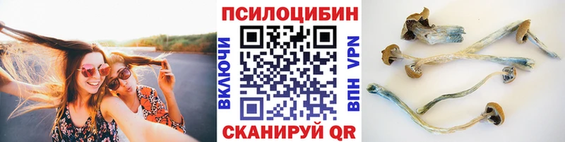 KRAKEN как войти Арзамас Галлюциногенные грибы Psilocybine cubensis